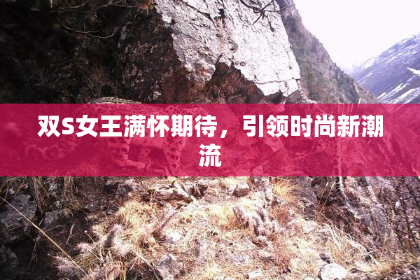 双S女王满怀期待，引领时尚新潮流