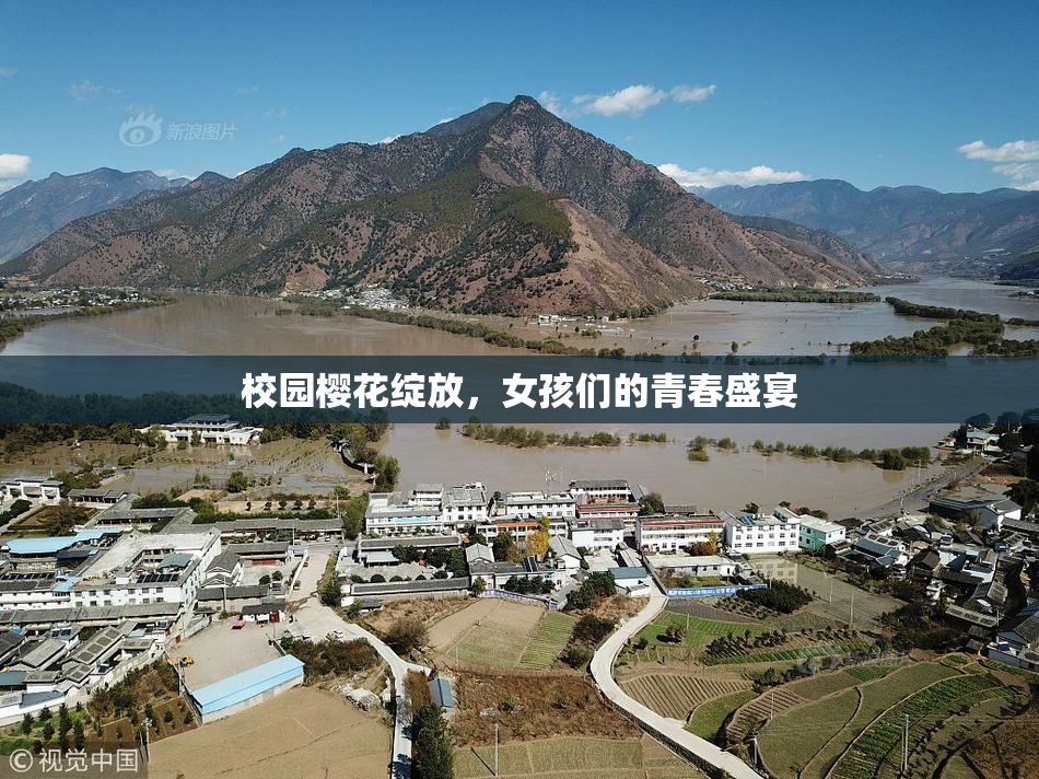 校园樱花绽放，女孩们的青春盛宴