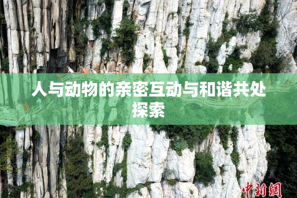 人与动物的亲密互动与和谐共处探索