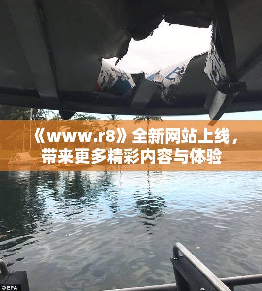 《www.r8》全新网站上线，带来更多精彩内容与体验