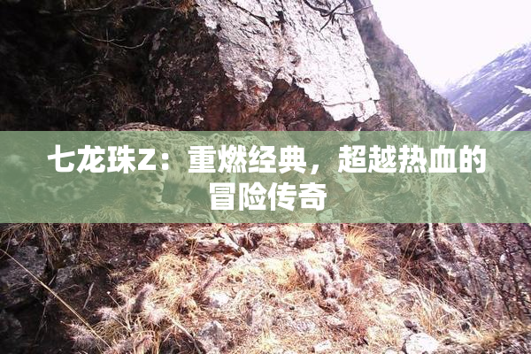 七龙珠Z：重燃经典，超越热血的冒险传奇