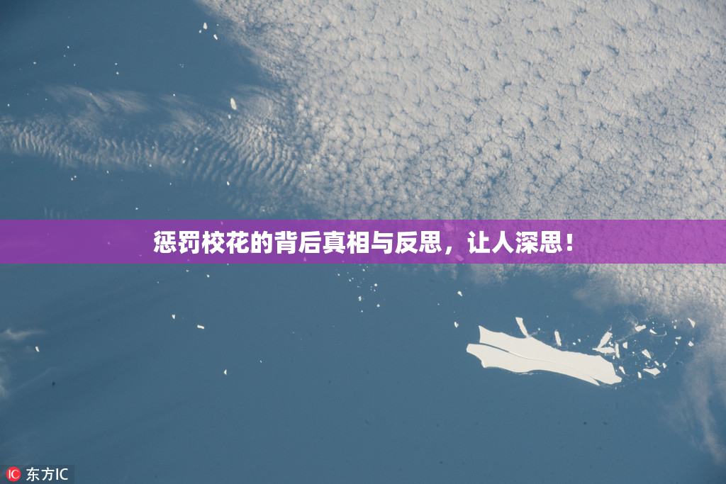 惩罚校花的背后真相与反思，让人深思！