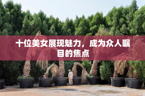 十位美女展现魅力，成为众人瞩目的焦点