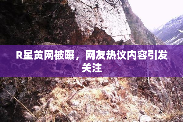 R星黄网被曝，网友热议内容引发关注