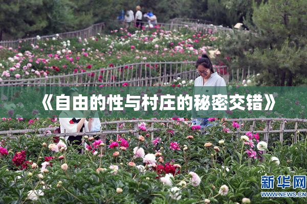 《自由的性与村庄的秘密交错》