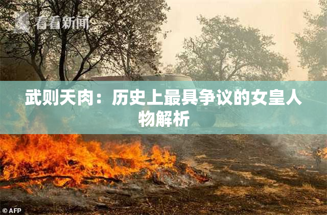 武则天肉：历史上最具争议的女皇人物解析