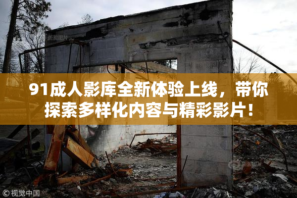 91成人影库全新体验上线，带你探索多样化内容与精彩影片！