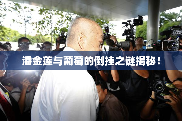 潘金莲与葡萄的倒挂之谜揭秘！