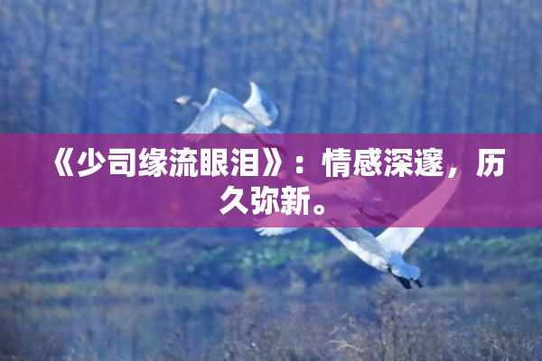 《少司缘流眼泪》：情感深邃，历久弥新。