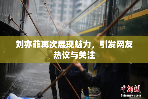 刘亦菲再次展现魅力，引发网友热议与关注
