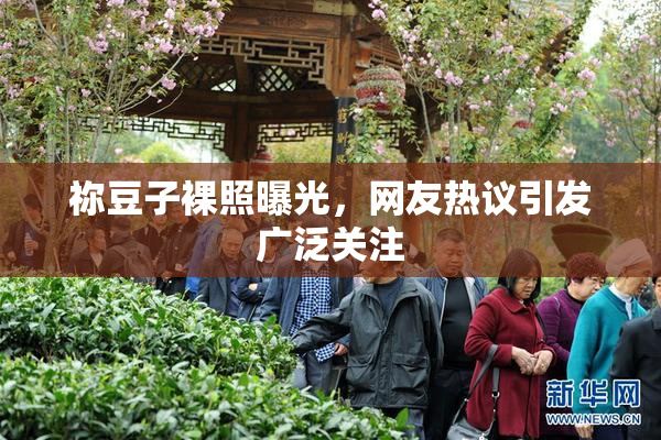 祢豆子裸照曝光，网友热议引发广泛关注