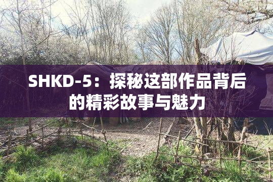 SHKD-5：探秘这部作品背后的精彩故事与魅力