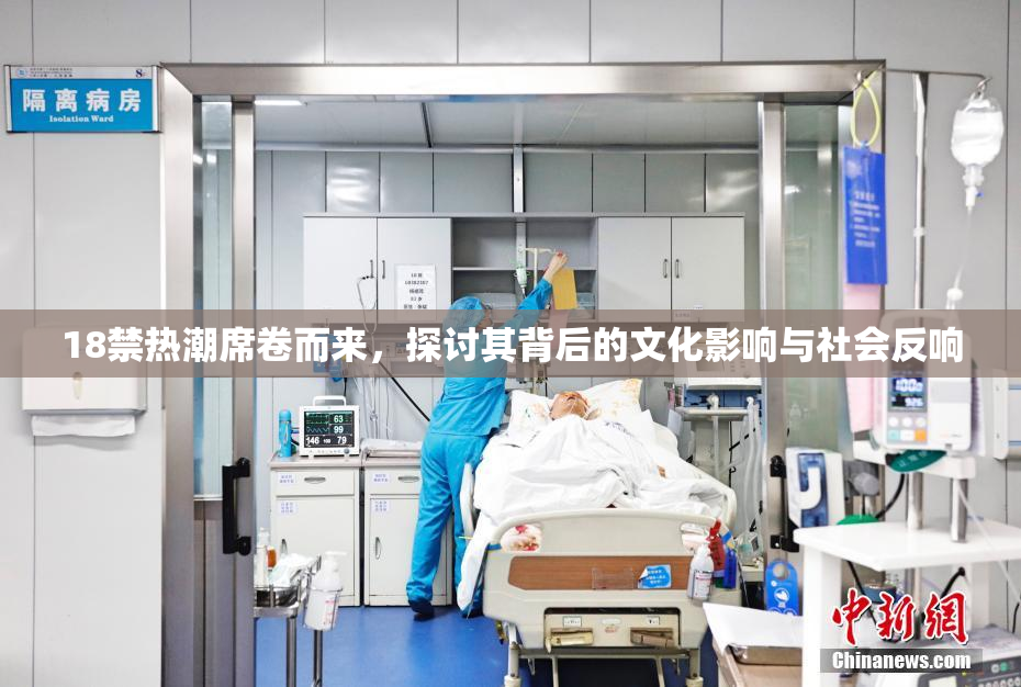 18禁热潮席卷而来，探讨其背后的文化影响与社会反响