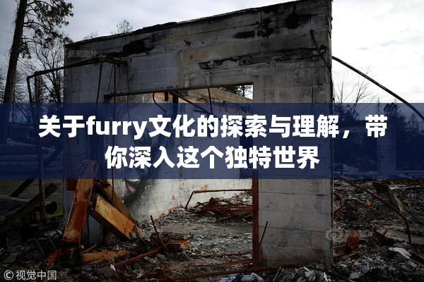 关于furry文化的探索与理解，带你深入这个独特世界