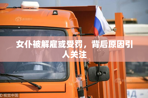 女仆被解雇或受罚，背后原因引人关注