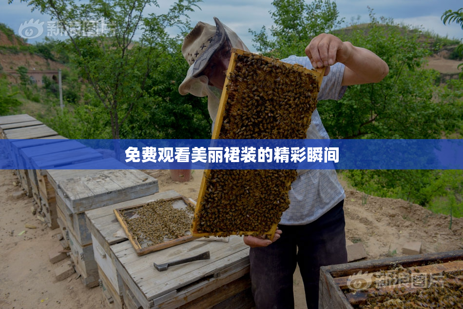 免费观看美丽裙装的精彩瞬间