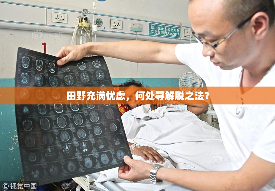 田野充满忧虑，何处寻解脱之法？