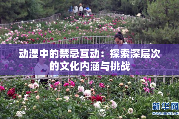 动漫中的禁忌互动：探索深层次的文化内涵与挑战
