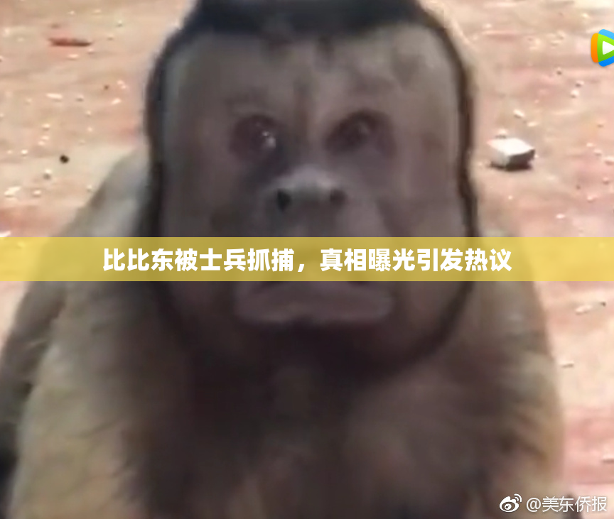 比比东被士兵抓捕，真相曝光引发热议
