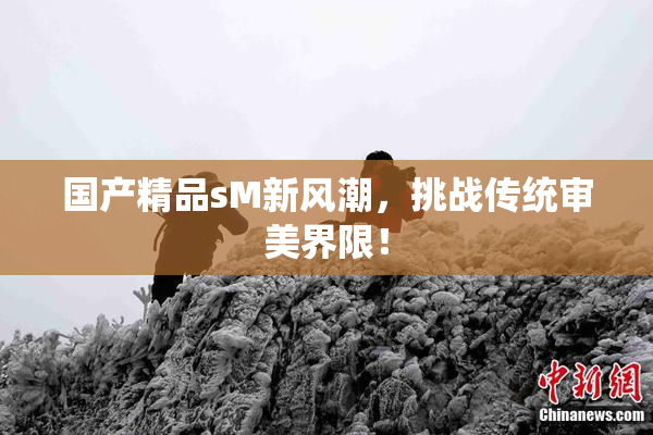 国产精品sM新风潮，挑战传统审美界限！