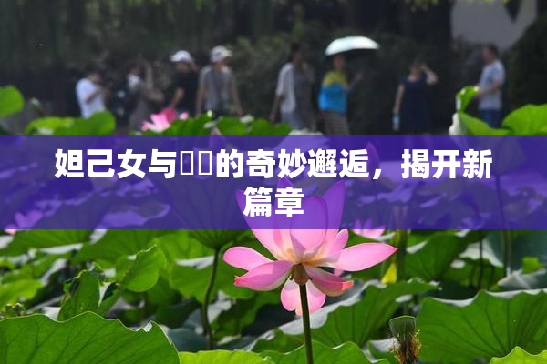 妲己女与❌‌的奇妙邂逅，揭开新篇章