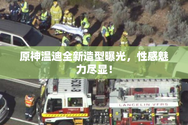 原神温迪全新造型曝光，性感魅力尽显！
