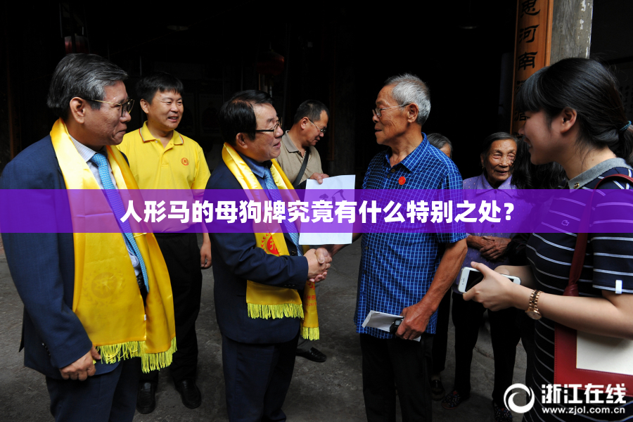 人形马的母狗牌究竟有什么特别之处？
