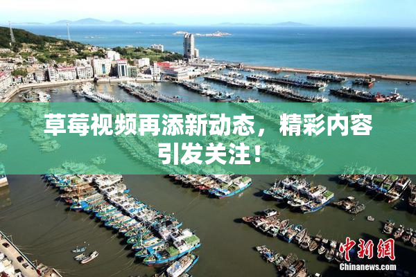 草莓视频再添新动态，精彩内容引发关注！