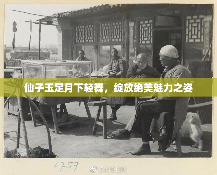 仙子玉足月下轻舞，绽放绝美魅力之姿