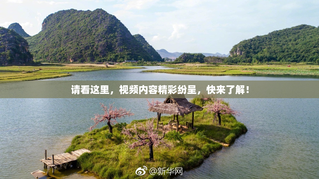 请看这里，视频内容精彩纷呈，快来了解！