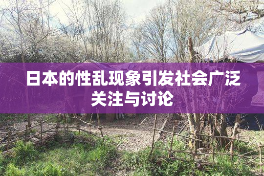 日本的性乱现象引发社会广泛关注与讨论