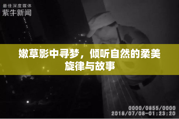 嫩草影中寻梦，倾听自然的柔美旋律与故事