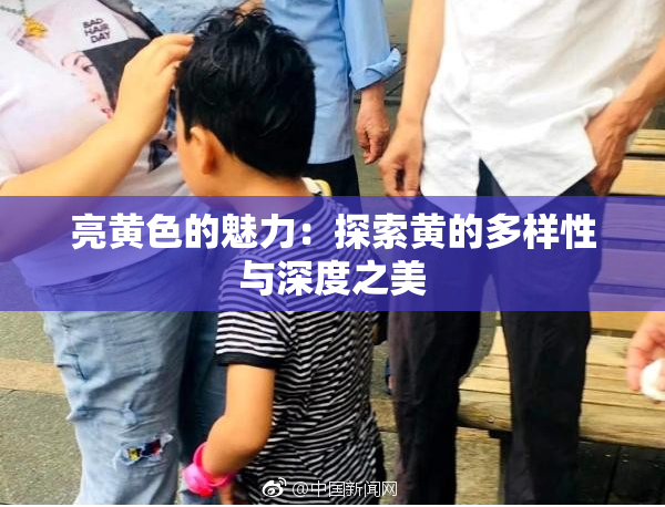亮黄色的魅力：探索黄的多样性与深度之美