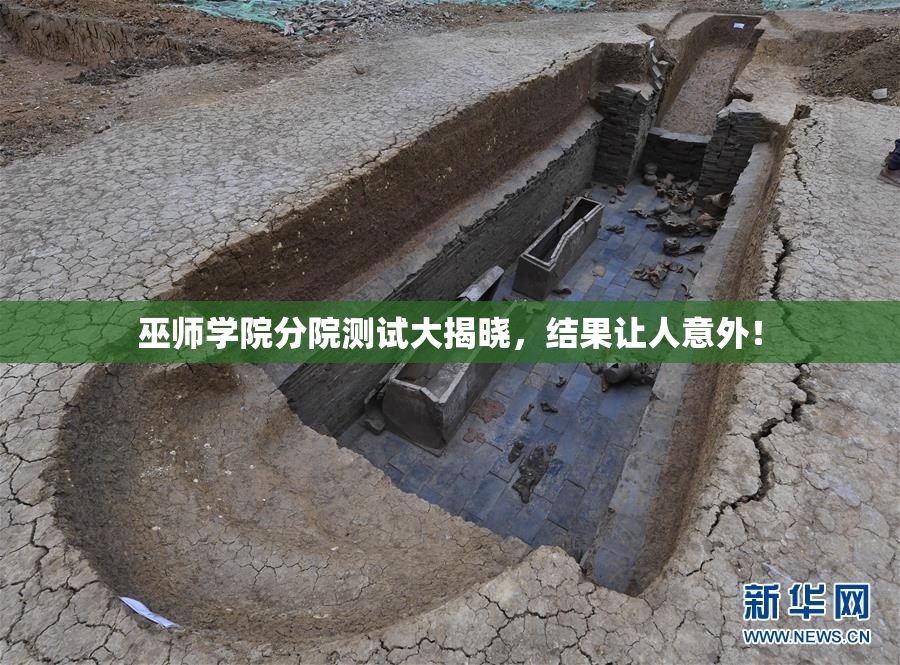 巫师学院分院测试大揭晓，结果让人意外！