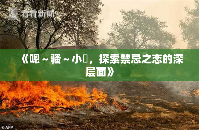 《嗯～骚～小婬，探索禁忌之恋的深层面》