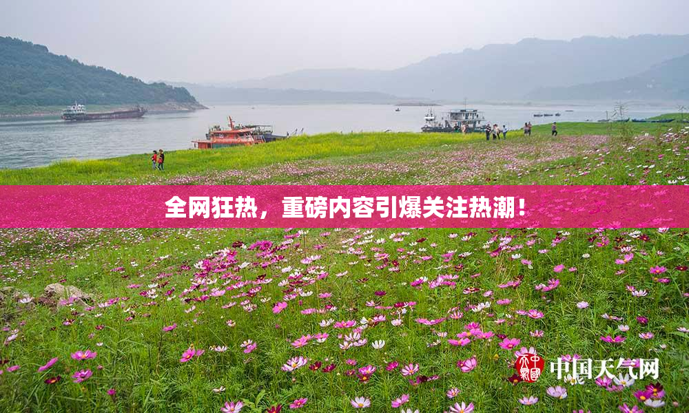 全网狂热，重磅内容引爆关注热潮！