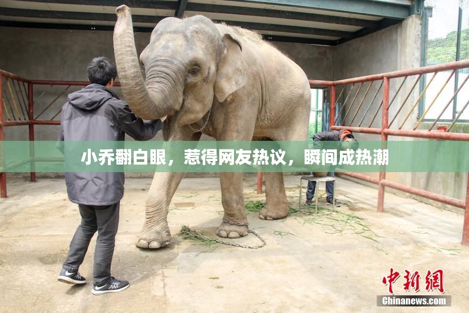 小乔翻白眼，惹得网友热议，瞬间成热潮