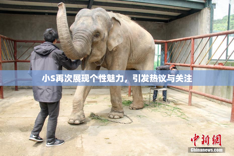 小S再次展现个性魅力，引发热议与关注