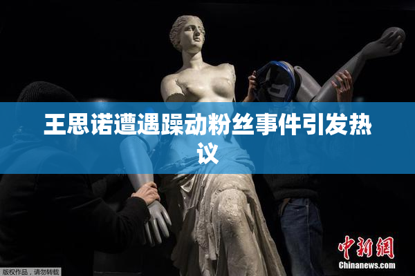 王思诺遭遇躁动粉丝事件引发热议