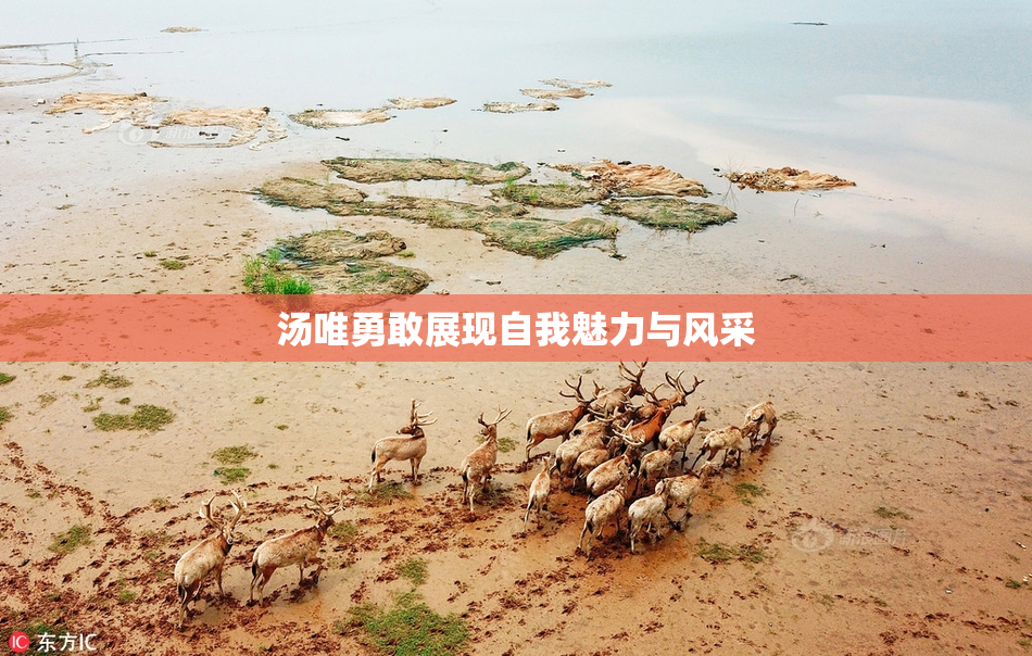 汤唯勇敢展现自我魅力与风采