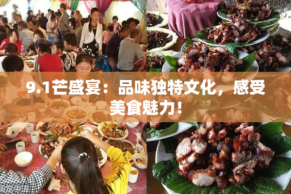 9.1芒盛宴：品味独特文化，感受美食魅力！