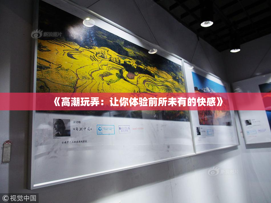 《高潮玩弄：让你体验前所未有的快感》
