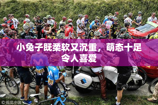 小兔子既柔软又沉重，萌态十足令人喜爱