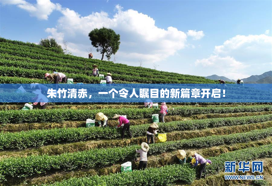 朱竹清赤，一个令人瞩目的新篇章开启！