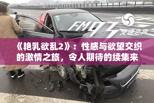 《艳乳欲乱2》：性感与欲望交织的激情之旅，令人期待的续集来袭！
