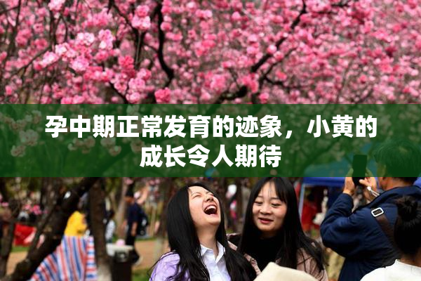 孕中期正常发育的迹象，小黄的成长令人期待