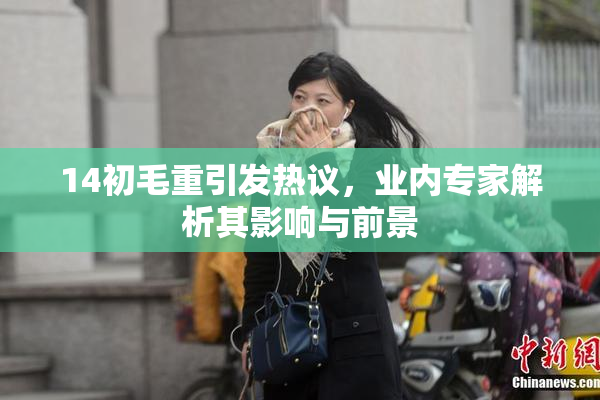 14初毛重引发热议，业内专家解析其影响与前景