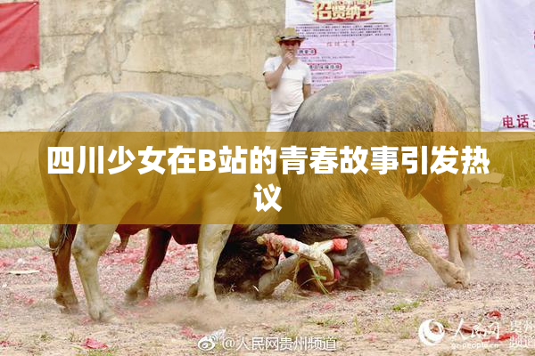四川少女在B站的青春故事引发热议