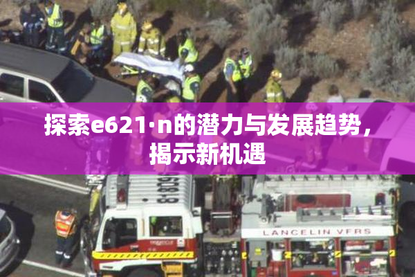 探索e621·n的潜力与发展趋势，揭示新机遇