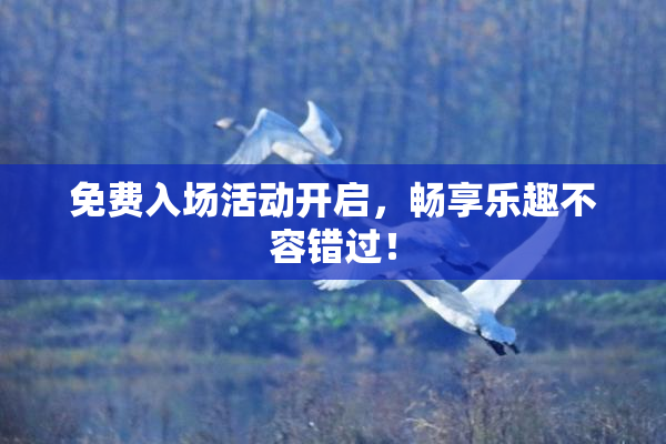 免费入场活动开启，畅享乐趣不容错过！